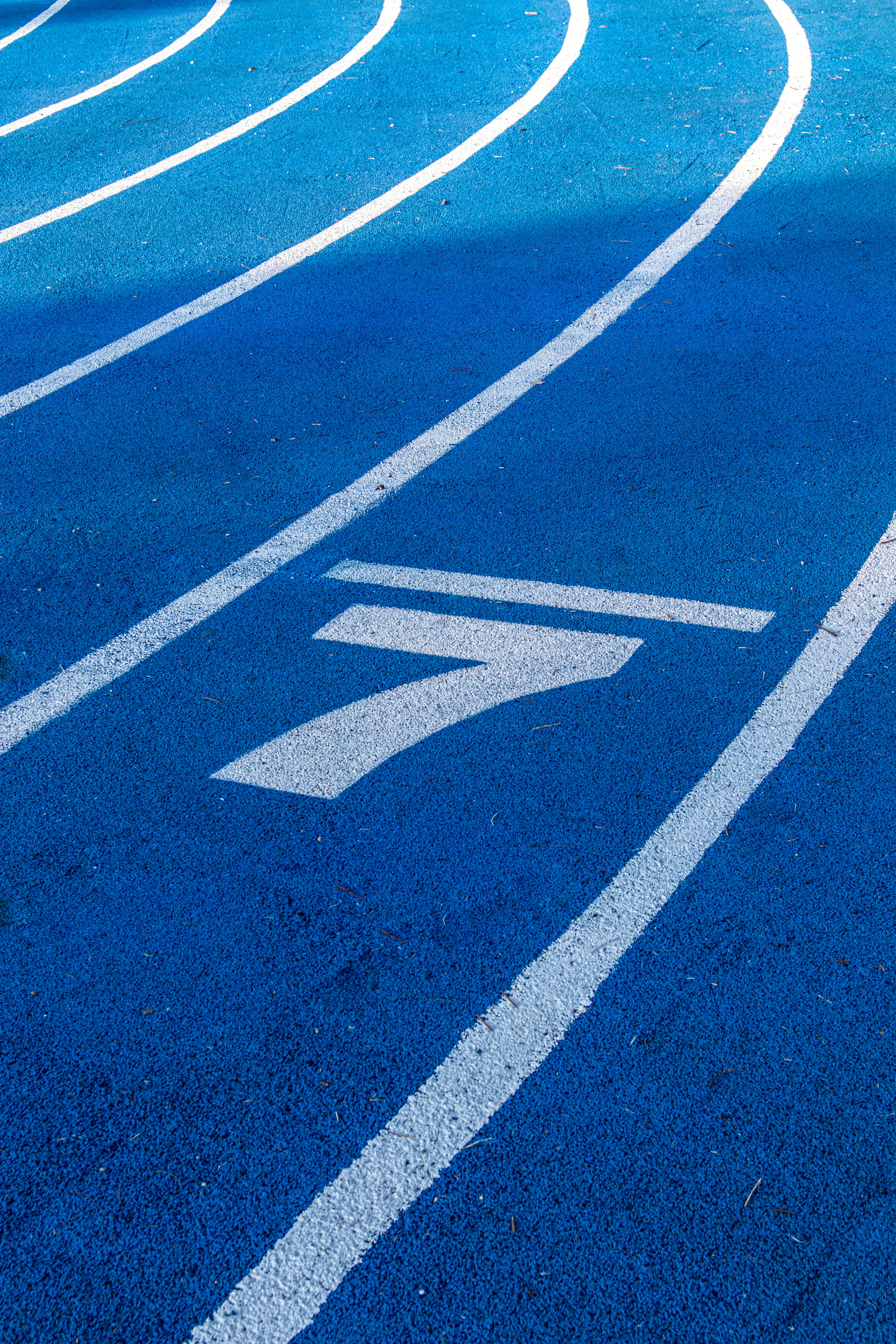 Pista di atletica